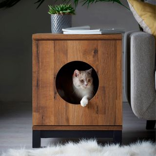 pet side table with cat and sofa set