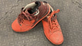 Endura MT500 Burner Clipless shoes