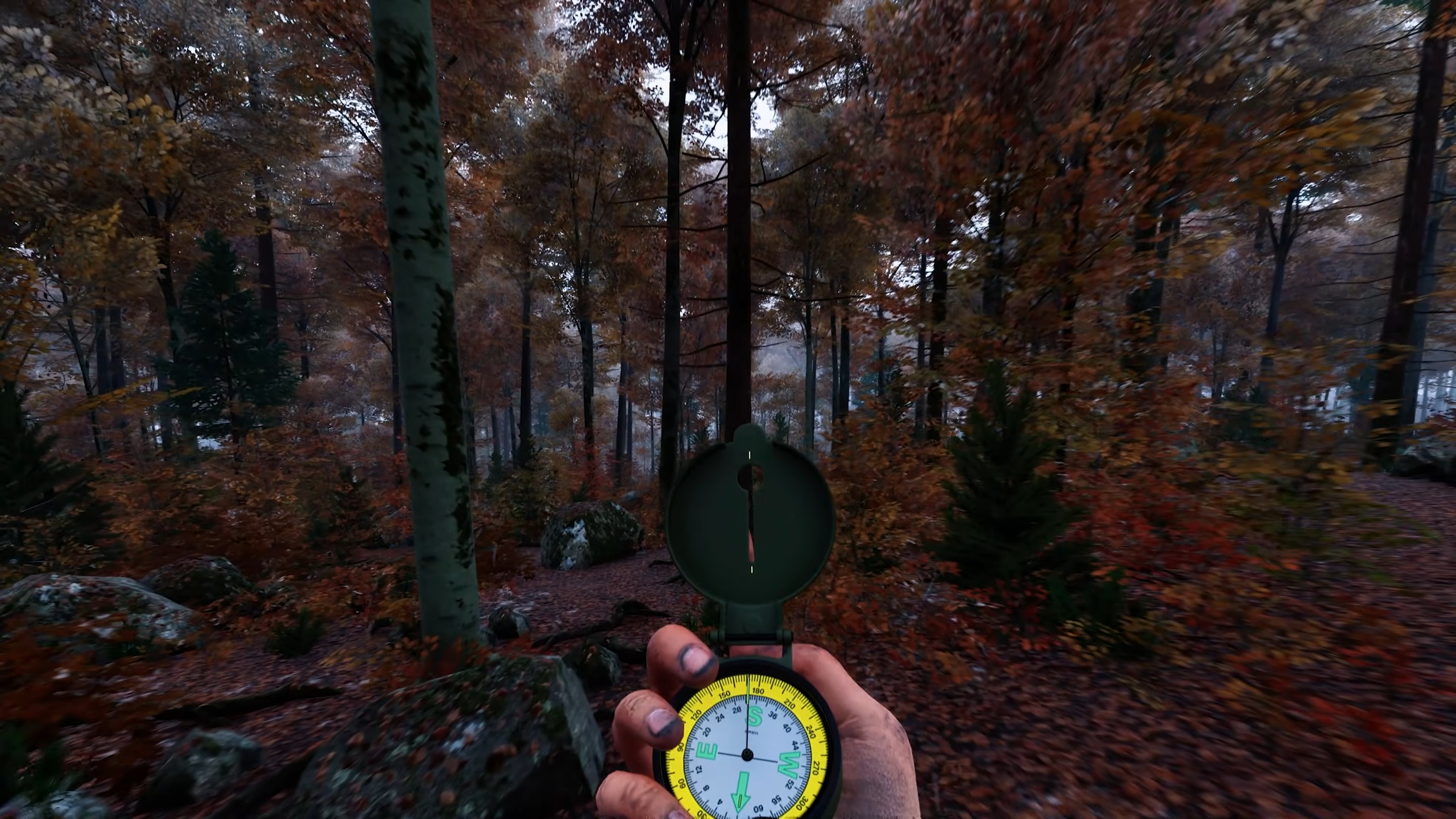A Prologue: Go Wayback screenshot shows someone holding a compass in a forest.