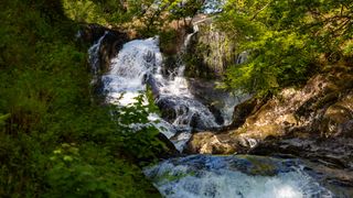 waterfall walks in Wales: Swallow Falls