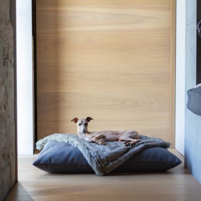 Luxury Mattress Style Dog Bed – Charley Chau