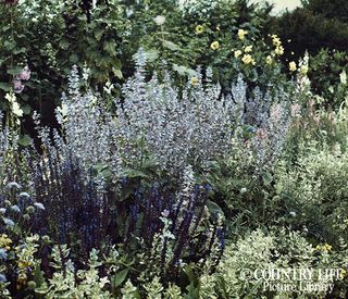 Gertrude Jekyll's garden at Munstead Wood - photographed in 1912 (©Country Life Picture Library)