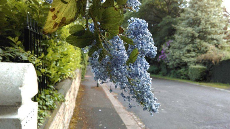 HTC One Mini 2 camera sample