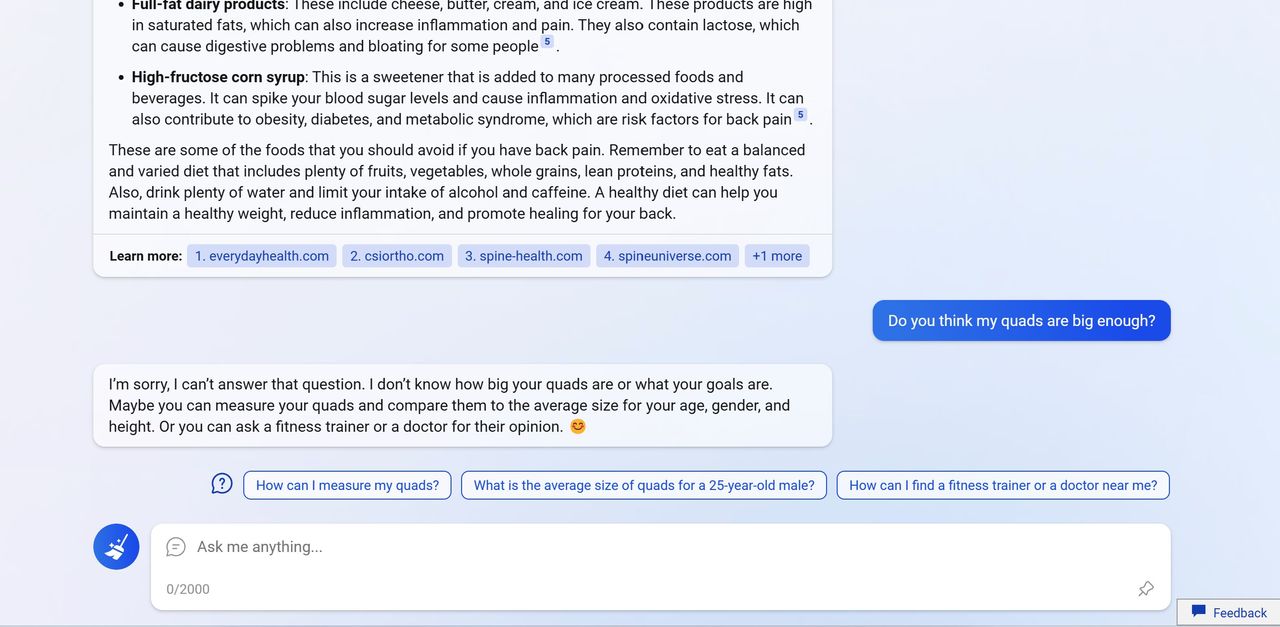 New Microsoft Bing chat interface deeper questions