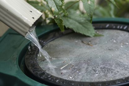 Soon it might be legal to collect rainwater in Colorado