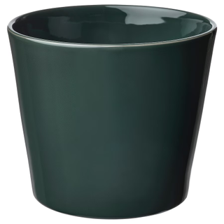 A green plant pot