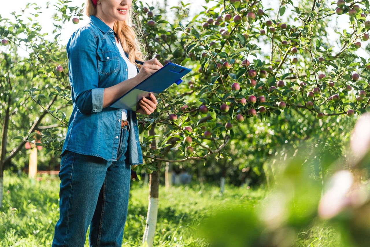 Woman Taking Observations Of Garden