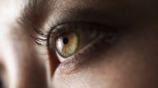 Seeing is one of the main human senses.