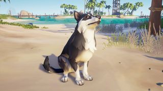 Sea Of Thieves Dogs