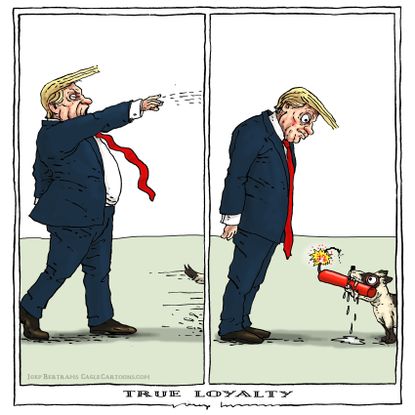 U.S. Trump rhetoric mail bomb packages loyalty dog