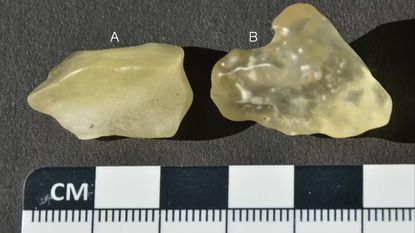 The pieces of Libyan desert glass that formed the basis of the study.