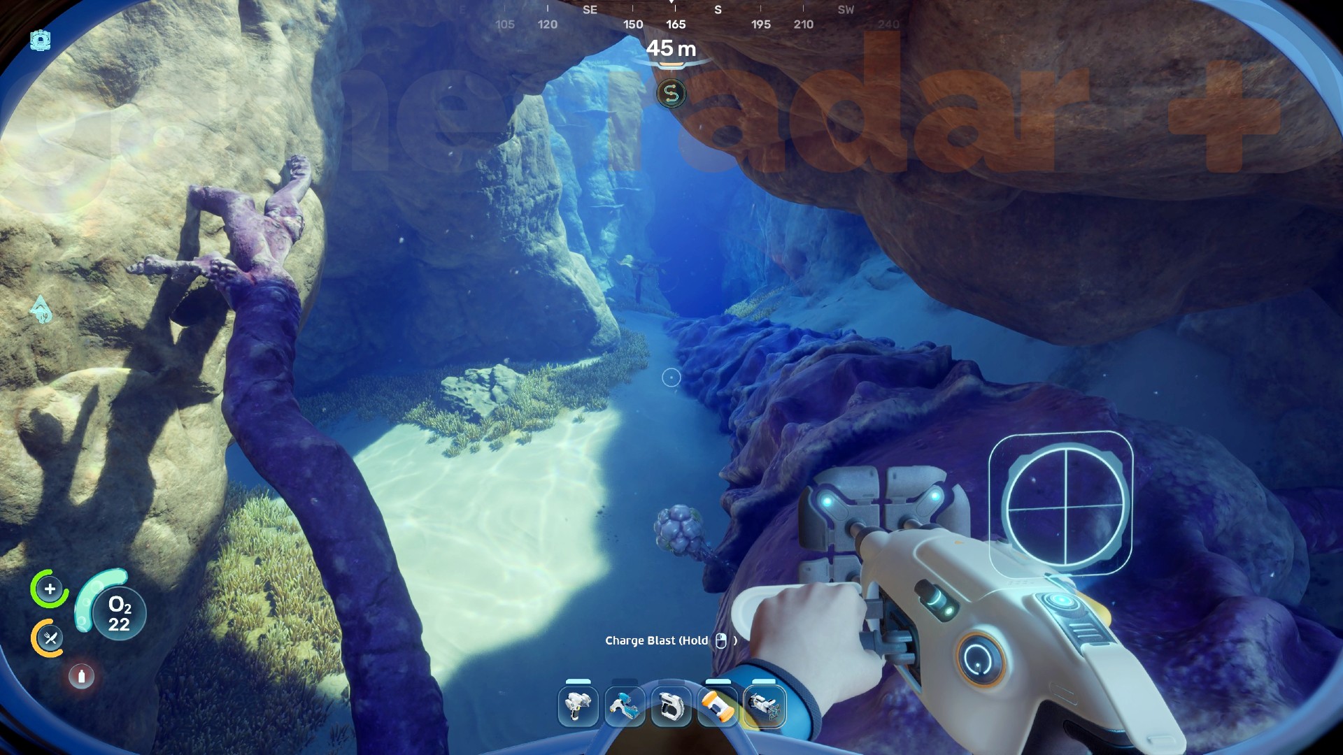 A player follows a vine from the Angel Comb in Subnautica 2