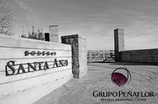 Grupo Pe&ntilde;aflor