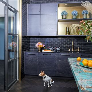 Kitchen with dark fitted cupboards, black wall tiles, dark wooden floor and bright blue marbled work top with a small dog sitting beside a glass door