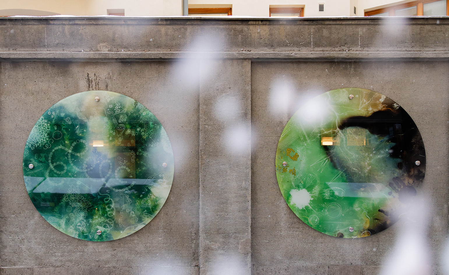 Noora Sandgren: Watery, 2026. image of round artwork mounted on wall