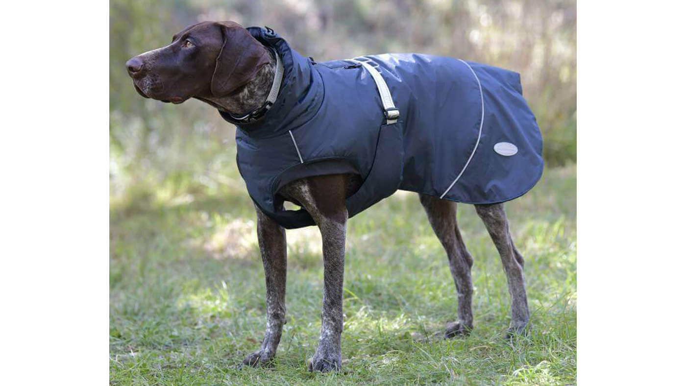 WeatherBeeta Explorer Dog Coat