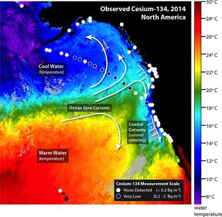 Fukushima radiation Nov. 2014