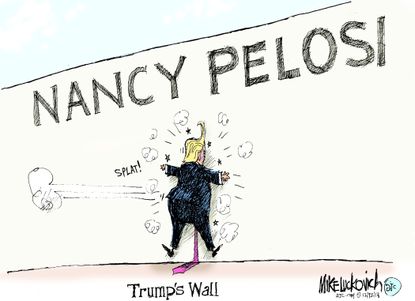 Political cartoon U.S. Trump build a wall Nancy Pelosi