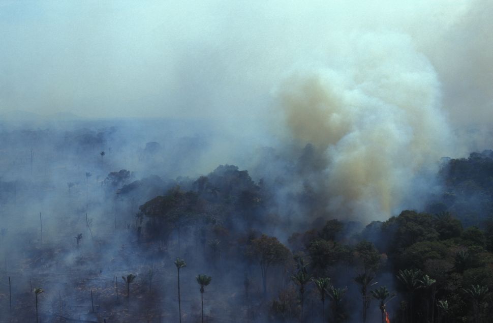 Amazon Wildfires Are Horrifying, But They're Not Destroying Earth's Oxygen Supply