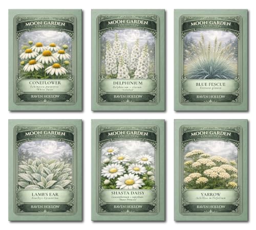 Moon Garden Collection Seed Pack Set, 6 Perennial Flower Varieties, White Blooms &amp;amp; Silver Foliage for a Luminous Garden