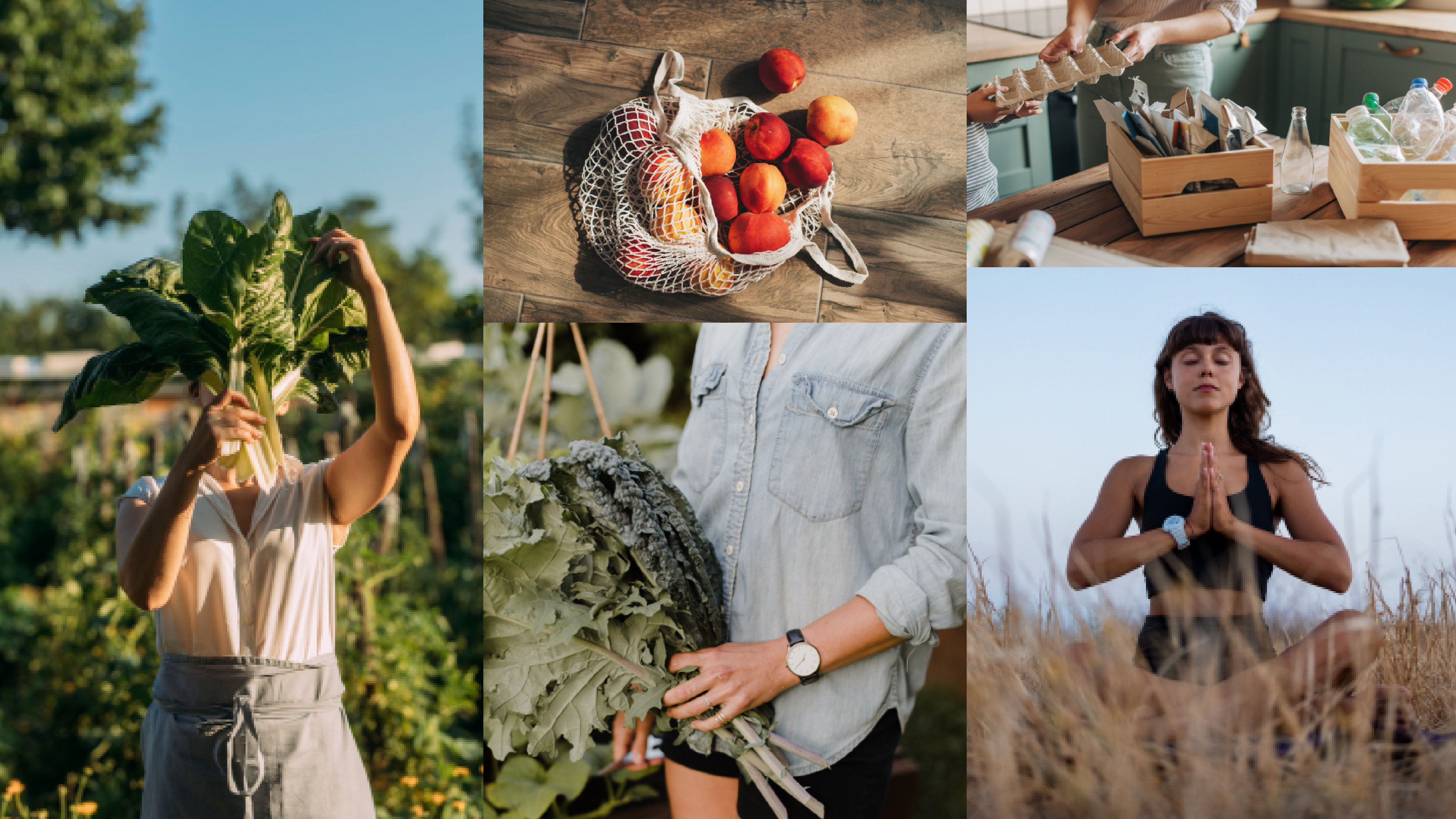 Sustainable living: A woman picking her own vegetables, meditating in the grass and recycling her household waste