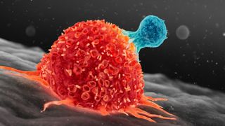 Medical illustration of a cancer cell, in red, being attacked by a T cell in blue. Both cells are illustrated against a dark background