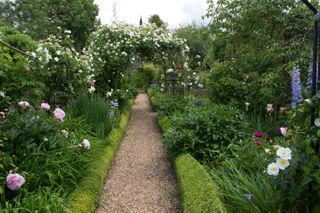 gravel garden oath through a rose garden with arch over