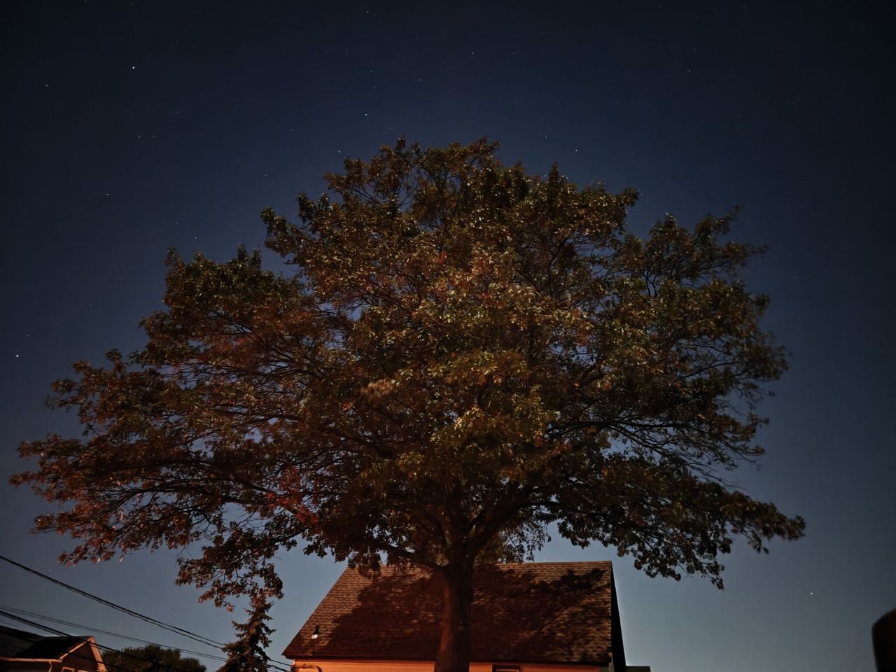 OnePlus 12 low light sample.
