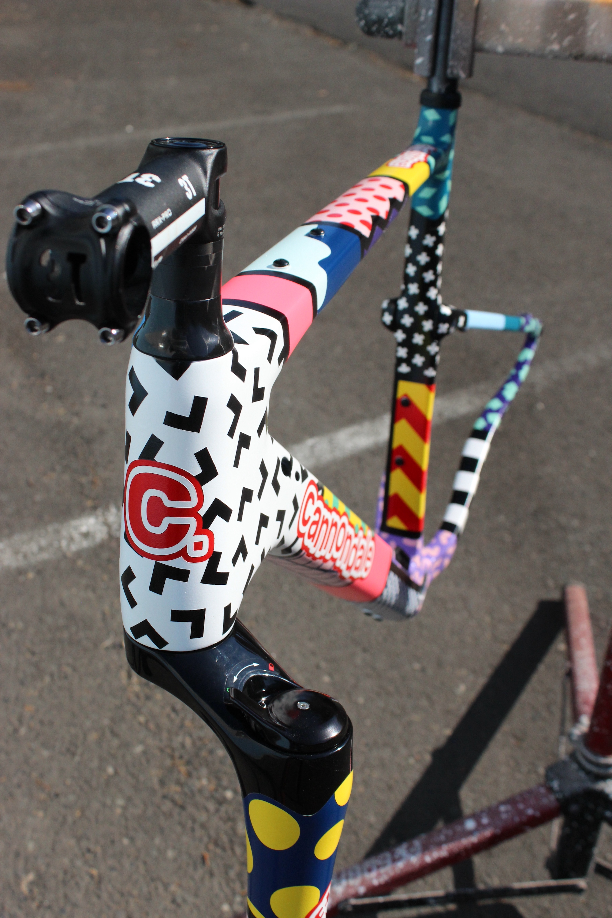 Rane Roatta's Cannondale Topstone LEfty painted by Dr Curtis Bullock
