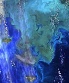 A phytoplankton bloom near Alaska&rsquo;s Pribilof Islands.