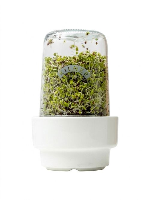 Kilner Sprouting Set