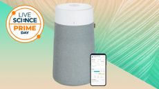 Blueair Blue Pure 311i Plus