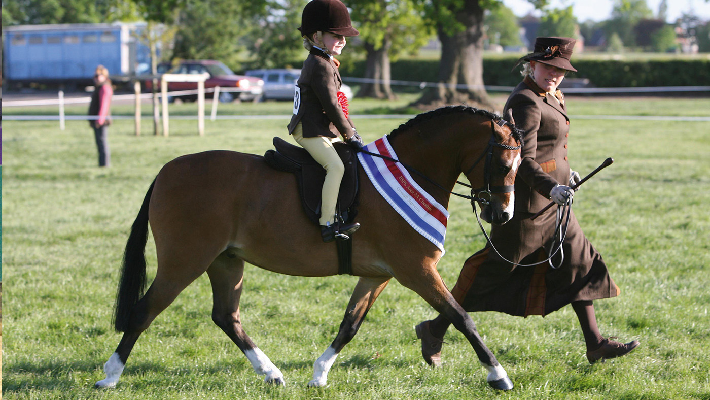 A pretty winning pony: training the lead-rein pony