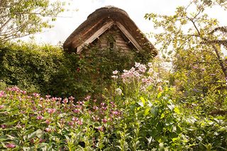 RHS Rosemoor