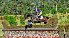 Kentucky Three-Day Event winners Karen O&rsquo;Connor and Prince Panache, pictured at the Sydney Olympics in 2000.