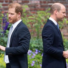 Harry and William