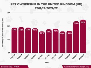 A graph of pet ownership in the UK