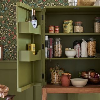 kitchen pantry with printed wall and green shelves