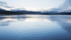 The smooth surface of a lake with some ripples.