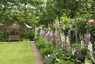 cottage garden path ideas: digitalis and lawn edging