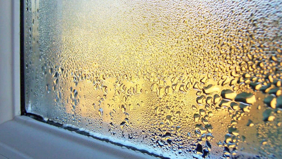 window condensation