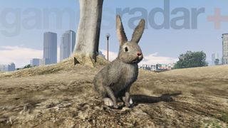 Turning into a rabbit using GTA Online Peyote Plants