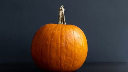 focus on pumpkin with dark background 