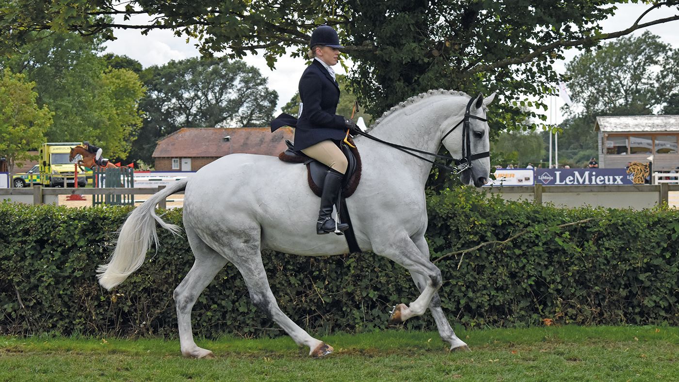Floriann Gilston at Hickstead