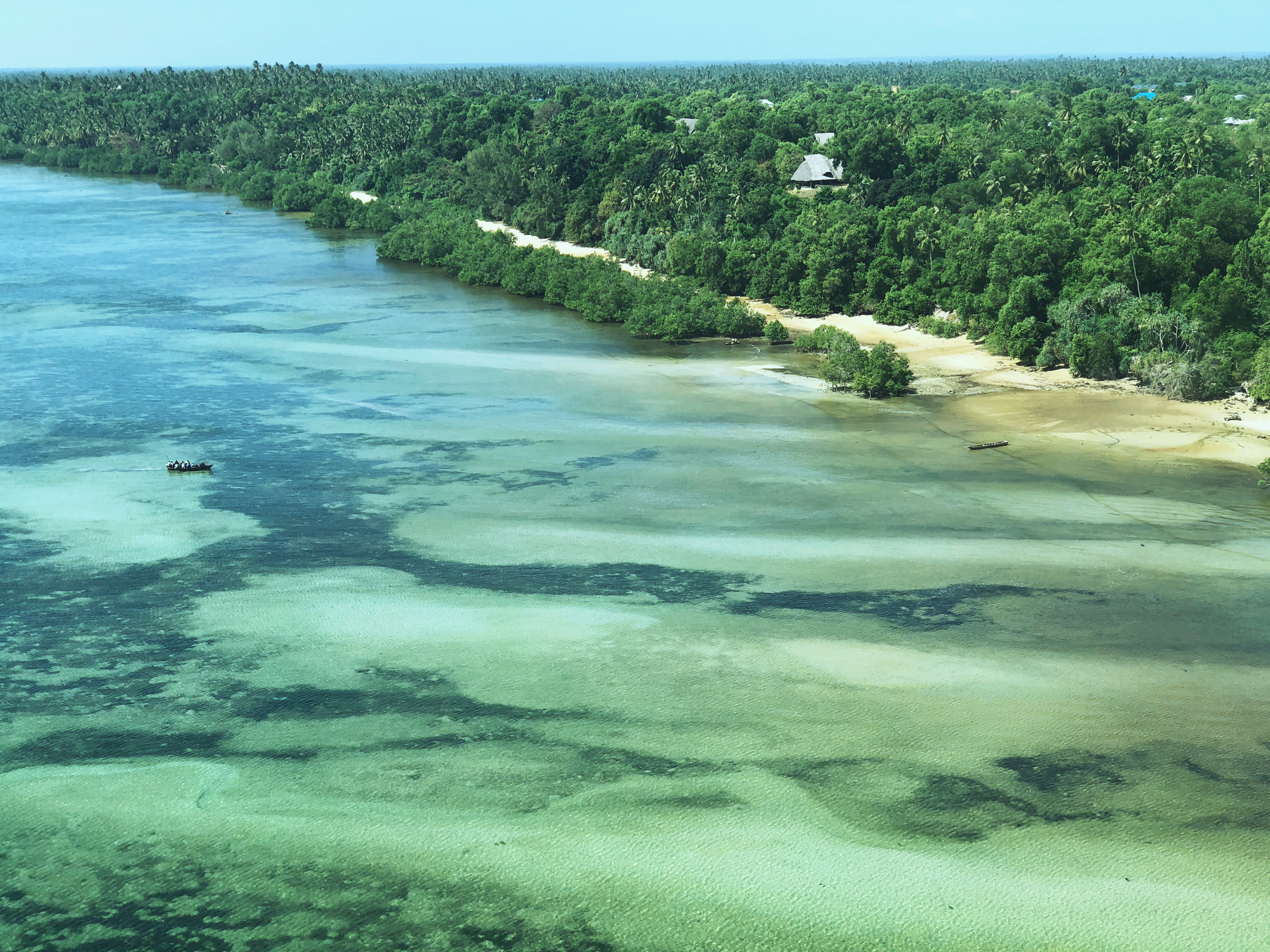 An aerial view of Mafia Island's green trees and turquoise waters