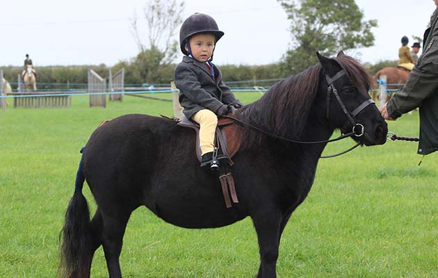 11Thelwell