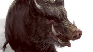 A boar from Pathfinder 2e's monster core rampages.