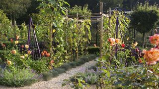 Vegetable garden trellis ideas including walkway and obelisks