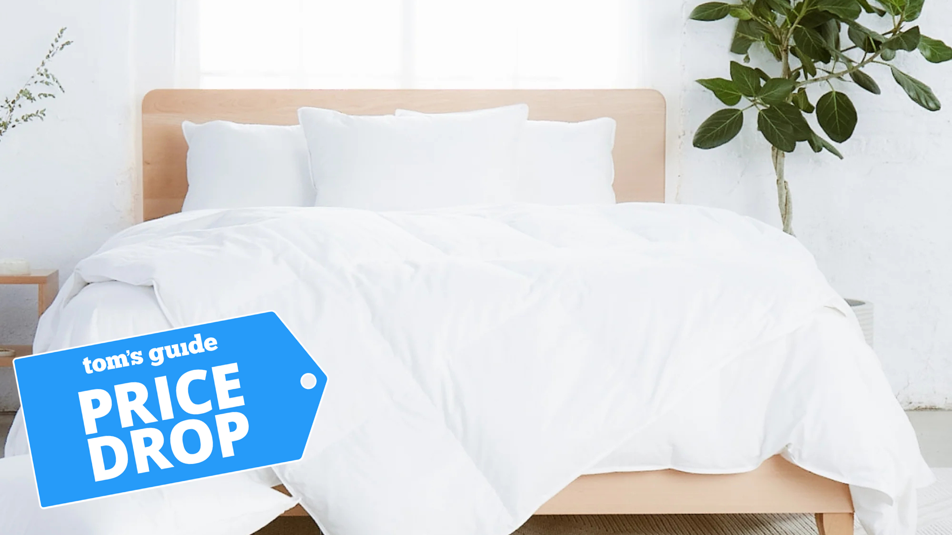 Colder nights are coming — stay cozy for less with 10% off Avocado's luxury down duvet