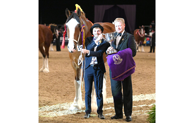 HOYS 07 10 2018